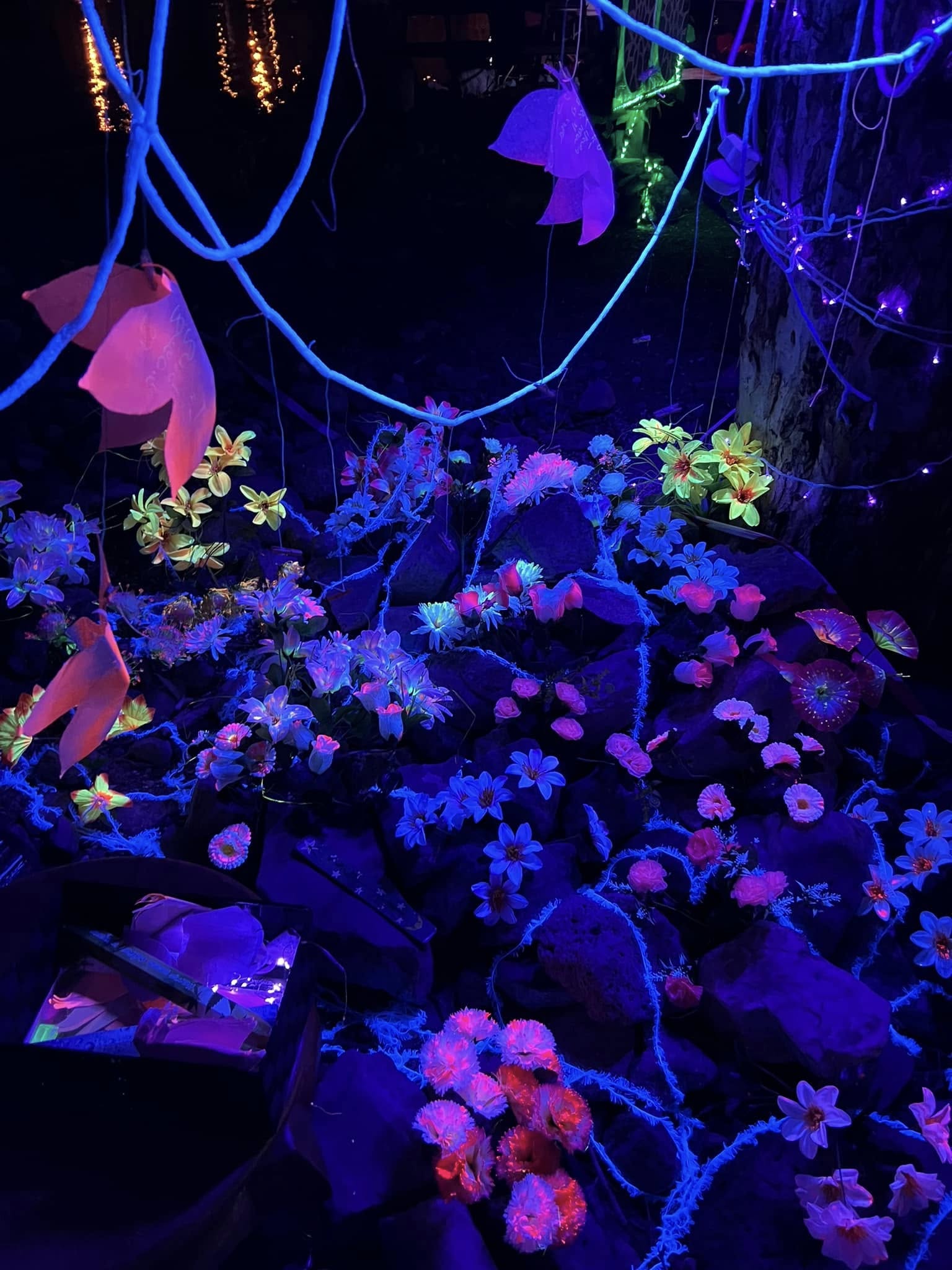 Flowers and ultraviolet lighting create a glowing garden at night.