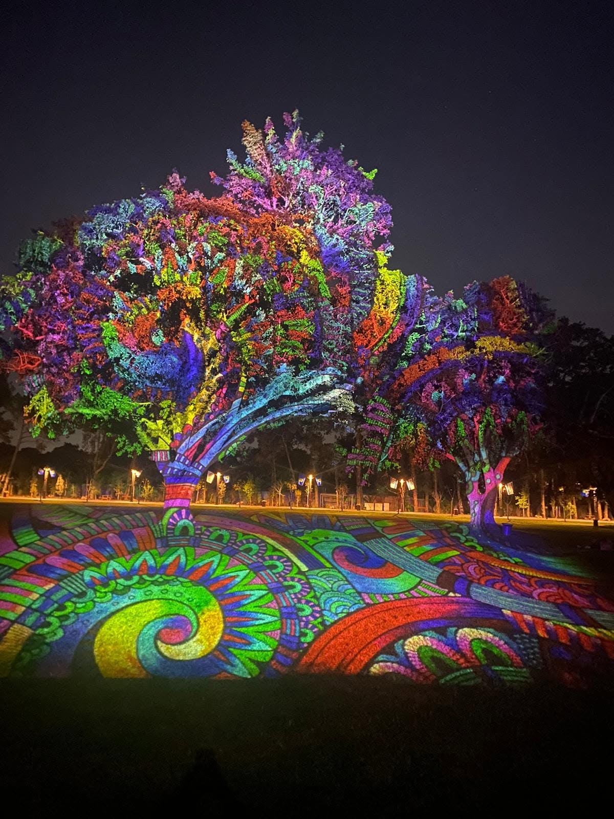 A colourful tree and a path decorated with glowing patterns at night.