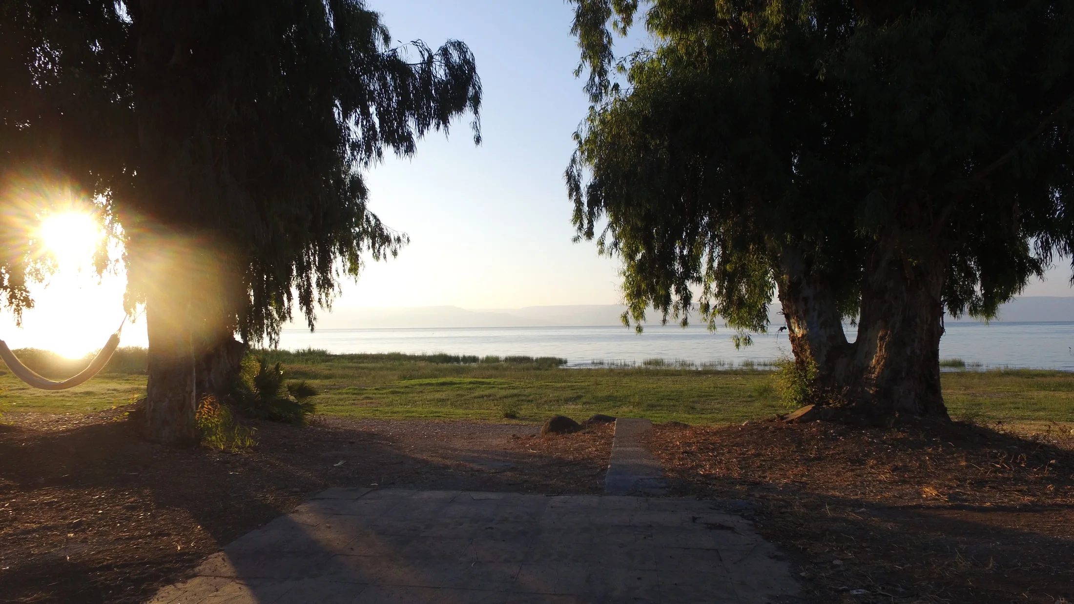 Sunset light filters through trees onto a path by the lake.